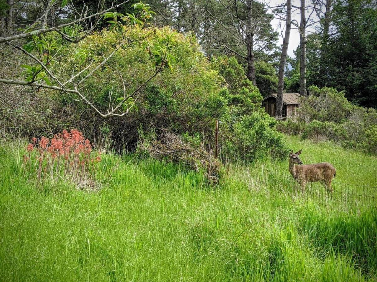 The Quail'S Nest Retreat Villa Point Reyes Station Luaran gambar